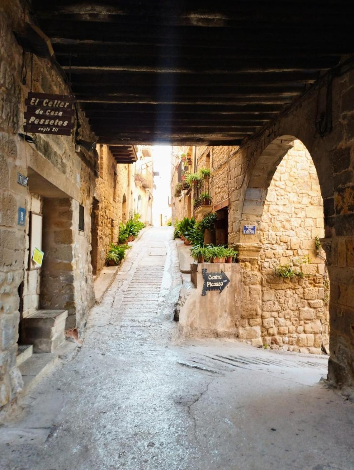 La Casa Del Castell Villa ออร์ตา เด ซาน ฮวน ภายนอก รูปภาพ